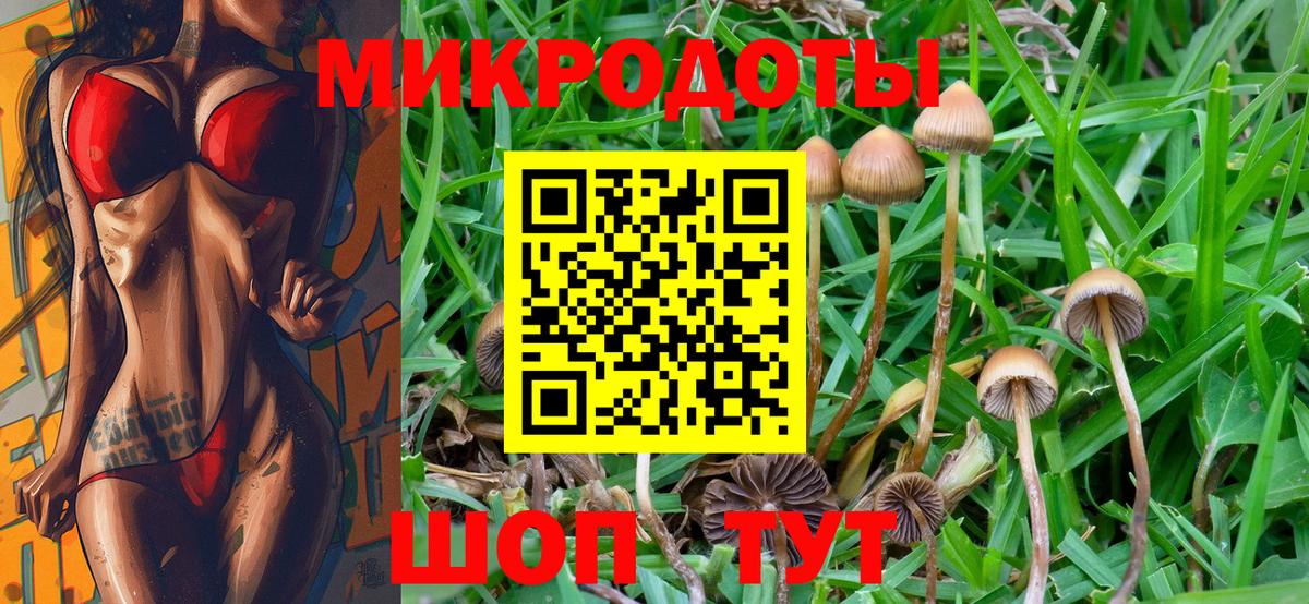 Галлюциногенные грибы прущие грибы Тамбов
