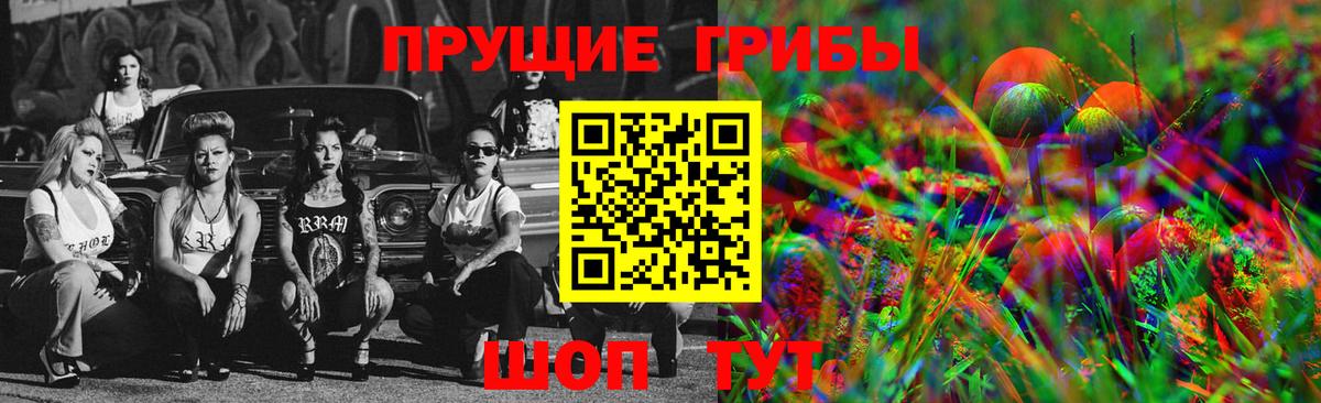 Псилоцибиновые грибы GOLDEN TEACHER  Вход с VPN  Тамбов 